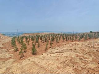 农发行山东省分行：3亿元贷款助力嘉祥废弃矿山“变”绿水青山