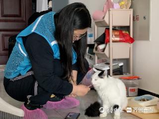 壹点调查|喂粮、清便、逗猫狗，济南有帮“上门宠托师”