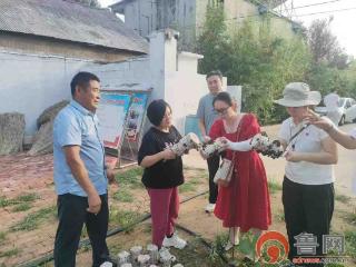 “山楂妹”为滕州市级索镇孔楼村代言助力黑木耳打开“云”销路
