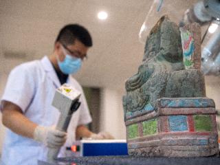 杨斌：提高文物和文化遗产保护工作的专业化科学化水平