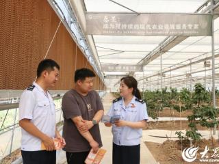 德州庆云税务三网联动 护航企业扬帆远航
