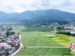 湖南隆回六都寨镇张家铺村：田野飞歌绽文明