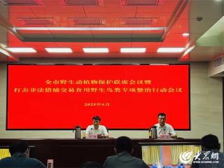 泰安市野生动植物保护联席会议暨打击非法猎捕交易食用野生鸟类专项整治行动会议召开