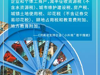 @中小微企业，河南这些“真香”政策你知道吗？