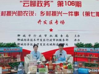 聊城经开区：政务增值服务“云”端发力，赋能乡村振兴