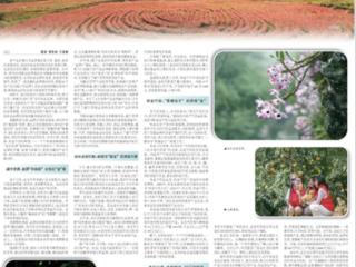 《农民日报》整版关注：“贵品”出新彩 奋楫再远航
