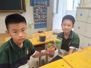 健康能量站 开启活力之旅——济南高新区凤凰路小学健康素养选修课课程总结展