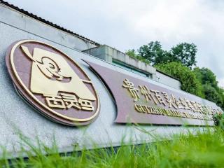 顺利摘帽！贵州百灵撤销其他风险警示，公司发展重回正轨