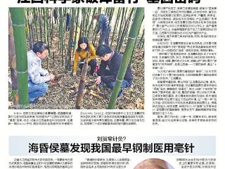全球首次！江西科学家破译雷竹“基因密码”