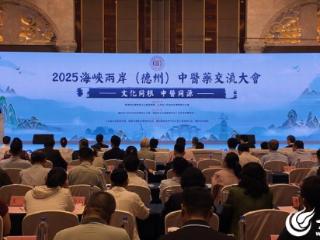 共促中医药文化传承创新 2025海峡两岸（德州）中医药交流大会在德州举行