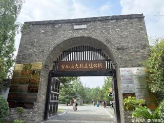 “铭记历史 缅怀先烈”丨英雄台儿庄：从战火硝烟到盛世欢颜