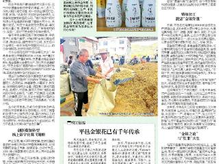 好山东|年产量占全国六成，平邑金银花为何这么“香”