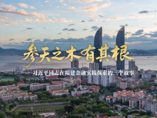 参天之木有其根——习近平同志在福建金融实践探索的三个故事