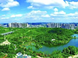 “生态之城Citywalk”活动来袭，快来打卡集章赢奖品