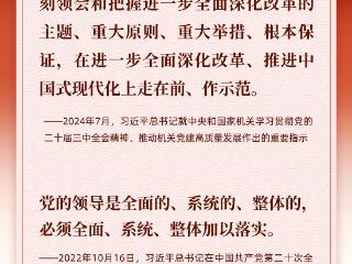 追光的你｜牢记总书记这“十三个坚持”