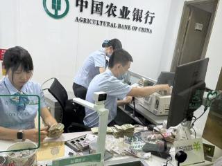 农行济南软件园支行：暖心服务零距离 高效点零获赞誉