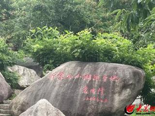 跨越山海 再续前缘 |《沂蒙山小调》诞生地：柬埔寨天籁邂逅沂蒙乡韵