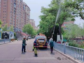 威海环翠:“打针吃药”！清晨秘密行动大公开