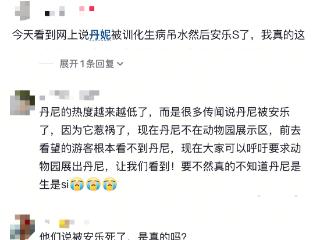 上海野生动物园被“霸凌”大象被曝安乐死？园方最新回应：系谣言