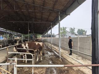 阳信县流坡坞镇：加强瘦肉精普检 守护群众食品安全