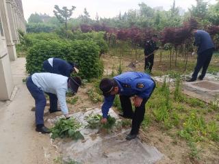 青岛西海岸新区辛安街道：执法物业联动出击 重拳整治占绿毁绿