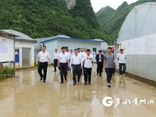 广州市南沙区党政代表团到紫云自治县、西秀区开展东西部协作工作调研