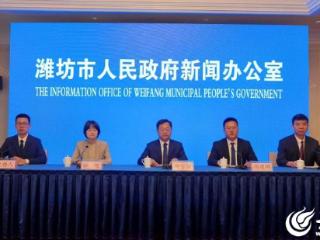 潍坊小麦颗粒归仓，有望再次实现面积、单产、总产“三增长”