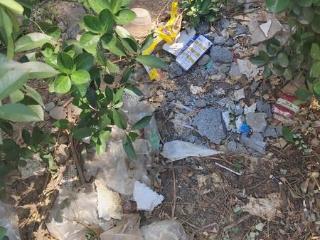 小8跑街丨西安南二环金水路口绿化带垃圾长期未清