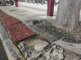 小8跑街丨团结南路一处公交站地砖破损 十多天无人修