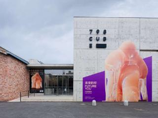 宇宙万物工作室中国首展亮相北京798