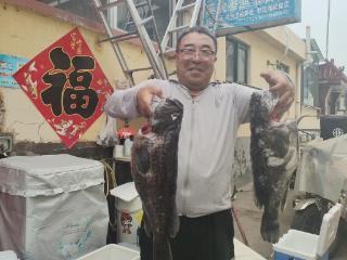 海岛探秘｜钓鱼爱好者组团来南隍城海钓，新手体验也惊喜连连