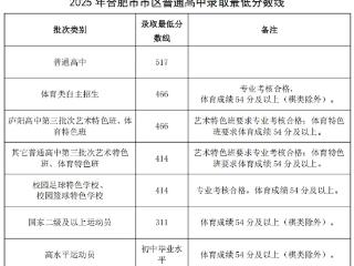 2025年合肥中考分数线公布 高分段人数较去年减少37.16%