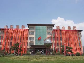 文化与匠心交织 温和酒业双庆盛典开启鲁酒新征程