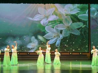 “村歌嘹亮”主题活动2025江苏集中展演在南通举办