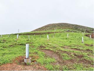 城红寨光伏发电项目总承包工程清表与桩基施工节点目标圆满完成