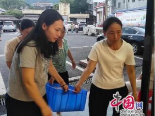 湖南泸溪洗溪镇人大代表：同心共筑“防汛堤”