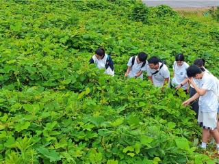 青春足迹访葛乡，焕奎聚力助农兴——南昌大学焕奎书院学子赴上饶市横峰县进行暑期社会实践
