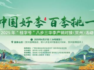 “中国好李 百李挑一”2025 年“桂字号”八步三华李产销对接活动圆满举办