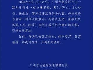 陈某（男，64岁）开车时低头看手机，致3死3伤