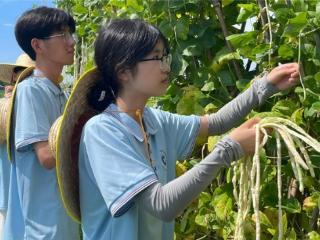 椒豆飘香时，“新声”启新程：常德职院学子田野实践展风采