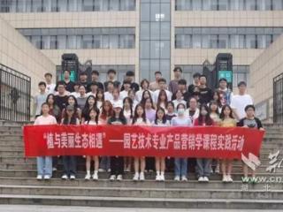 巧手春满园，园艺技术助力产业发展
