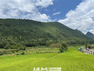 2024年办理生态环境和资源领域公益诉讼案1629件！贵州以司法之力守护绿水青山