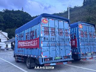 一个筹集物资 一个负责运送｜俩“村超”球迷结伴驰援榕江