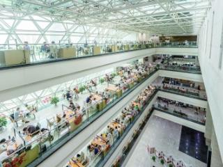 图书馆内沉浸阅读