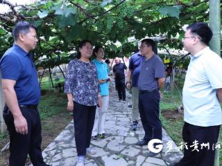 中央科技特派团葡萄产业组赴三都县开展科技服务 助力乡村振兴