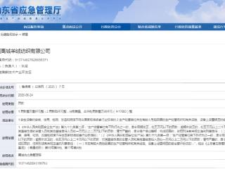 因这些违法事实，鲁银集团禹城羊绒纺织有限公司被罚