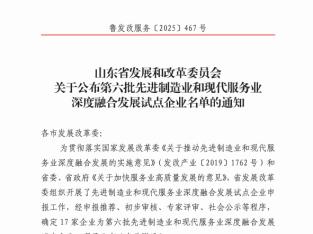 泰山区：泰开电力开关有限公司成功入选省先进制造业和现代服务业深度融合发展试点企业