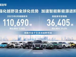领跑方盒子市场 长城汽车6月方盒子车型销售4.84万辆 同比增长14.39%