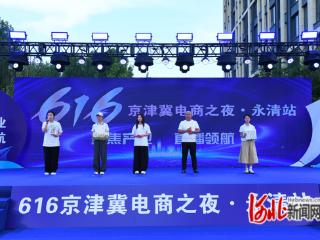 永清：打造电商交流平台 助力京津冀电商行业发展