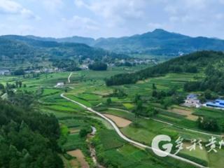 凤冈县永和镇：绿色管护到田间 振兴路上“药草香”